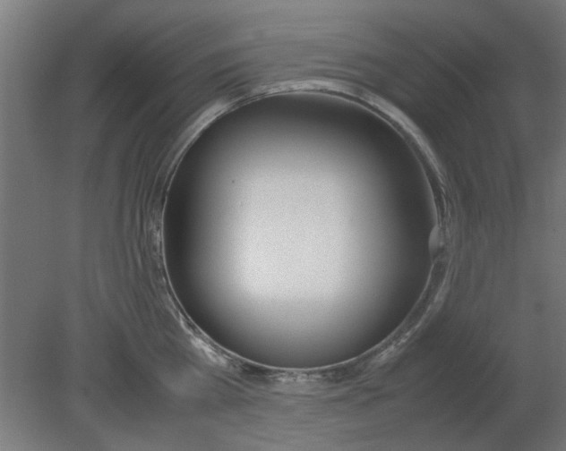 X0000080780809200701122120