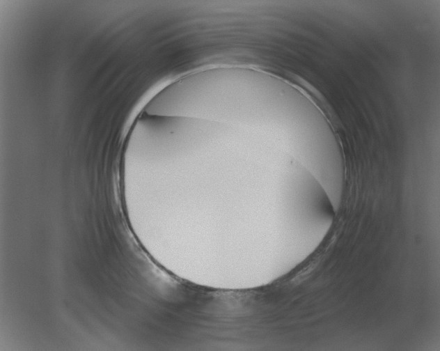 X0000080780812200701122120