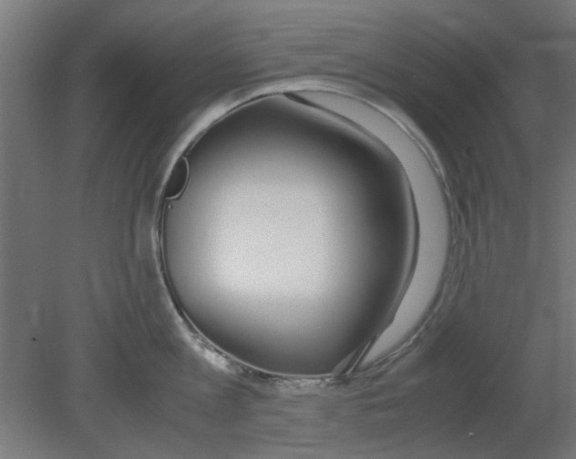 X0000080780813200701122120