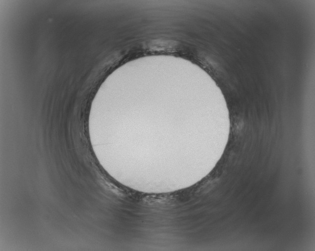 X0000080780817200701122119