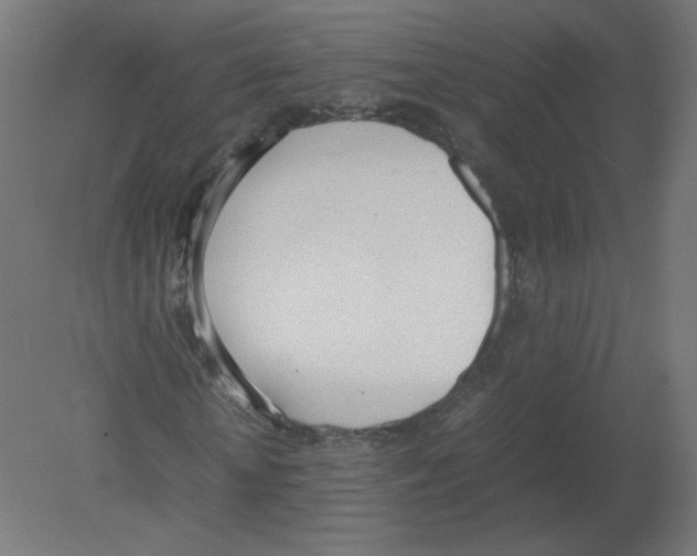 X0000080780818200701122119