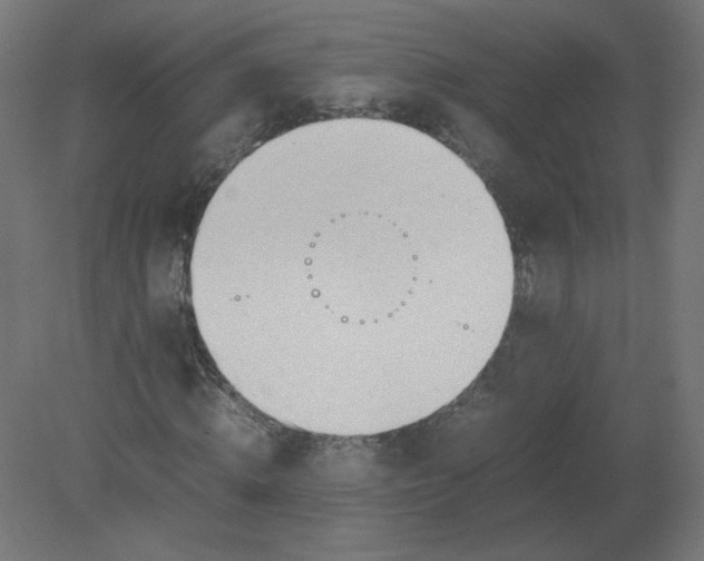 X0000080780820200701122119