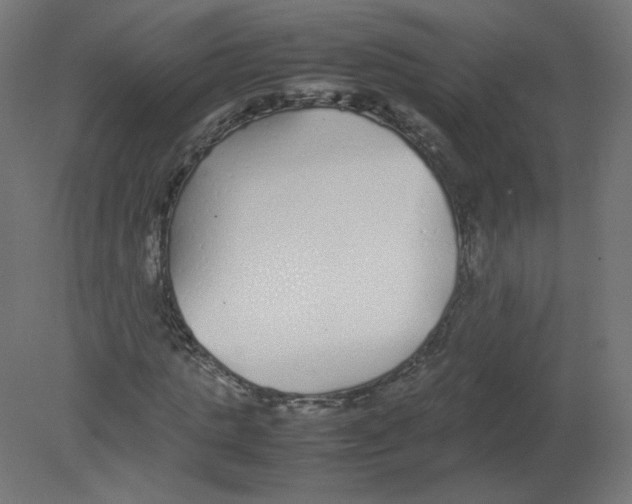 X0000080780821200701122119