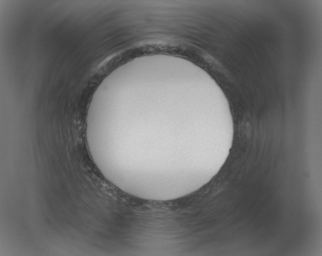 X0000080780822200701122119