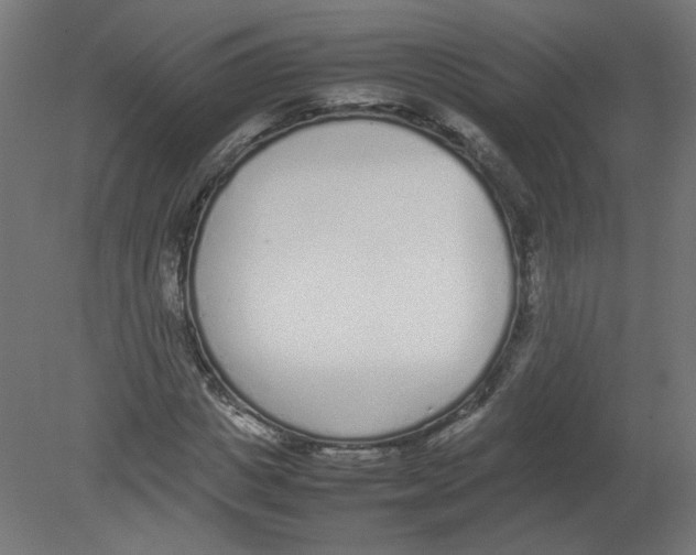 X0000080780825200701122119