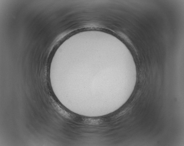 X0000080780831200701122119