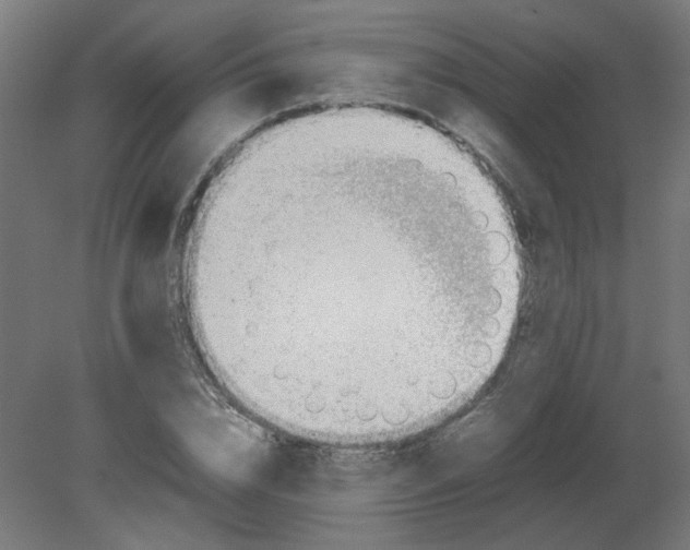 X0000080780832200701122119