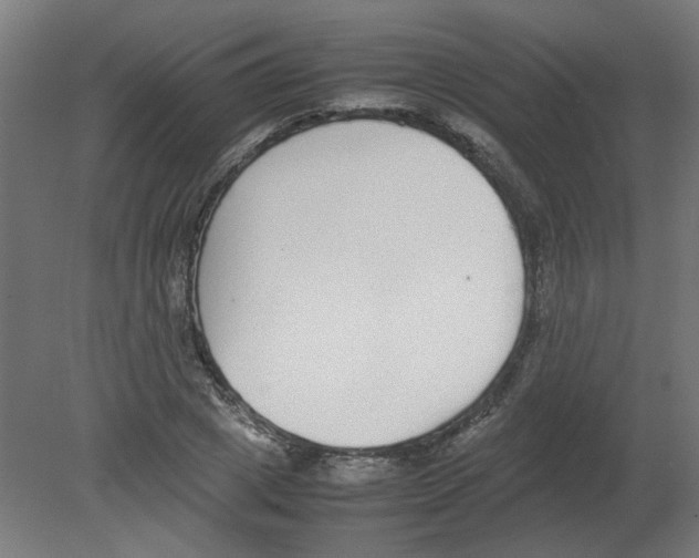 X0000080780833200701122119