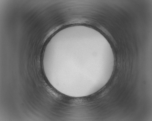 X0000080780834200701122119
