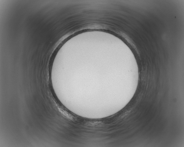 X0000080780837200701122119