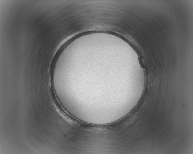 X0000080780838200701122119