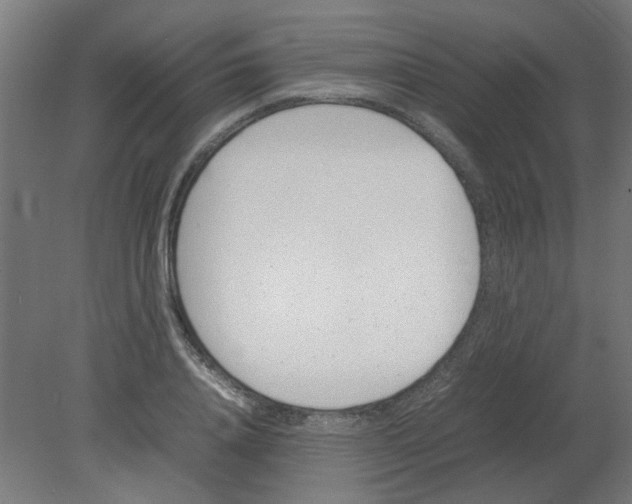 X0000080780840200701122119