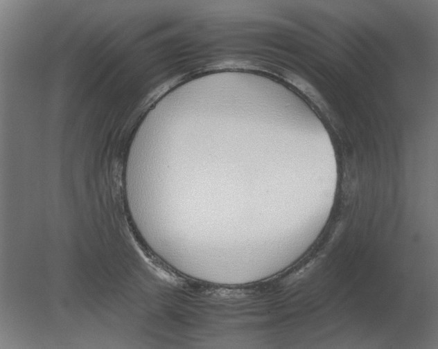 X0000080780849200701122119