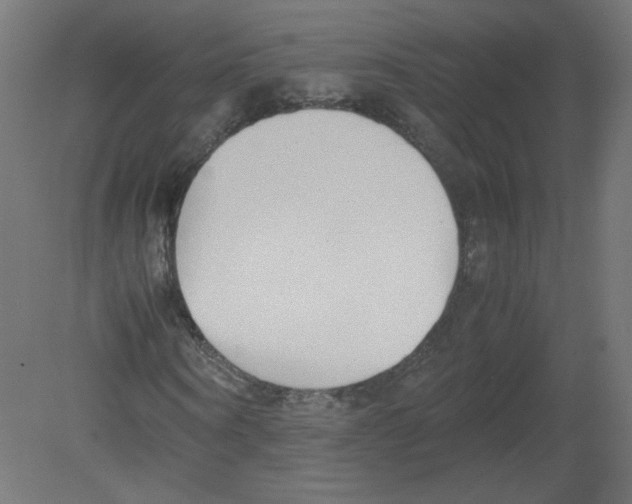 X0000080780866200701122119
