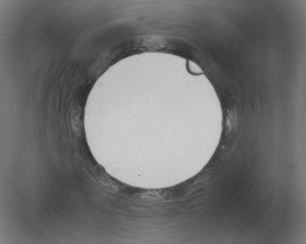 X0000080780867200701122119