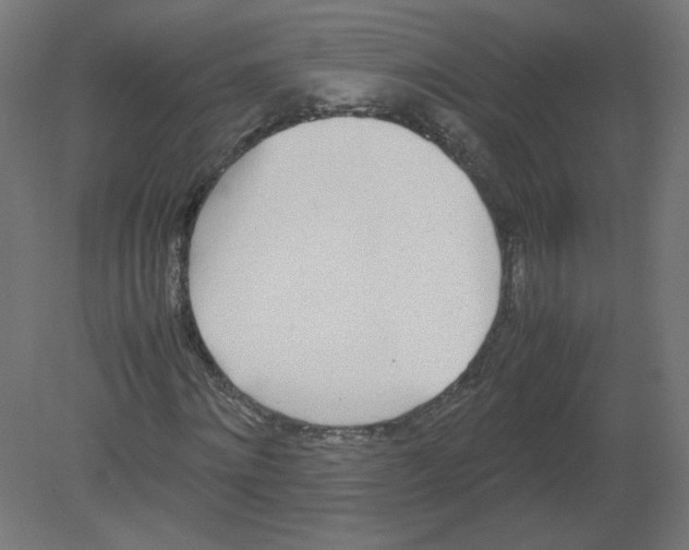 X0000080780868200701122119