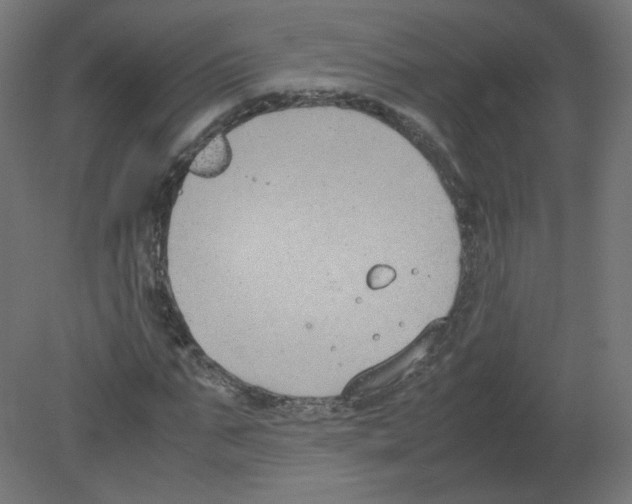 X0000080780871200701122119