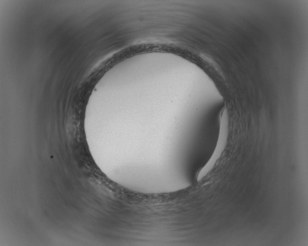 X0000080780872200701122119