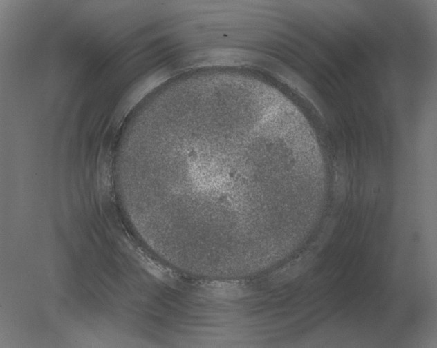 X0000080780874200701122119