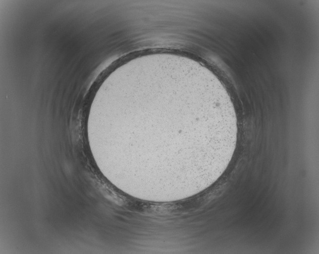 X0000080780875200701122119