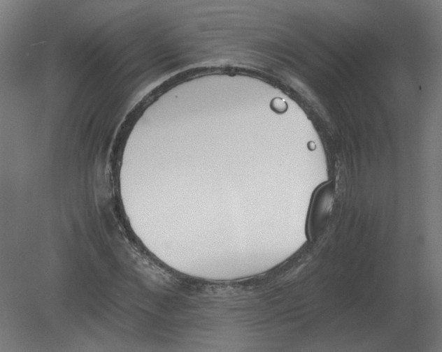 X0000080780876200701122119