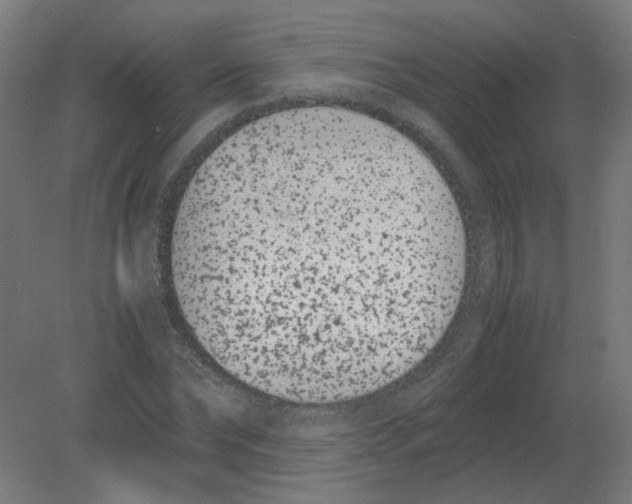 X0000080780878200701122119