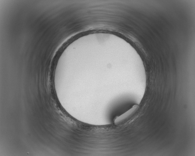 X0000080780880200701122119