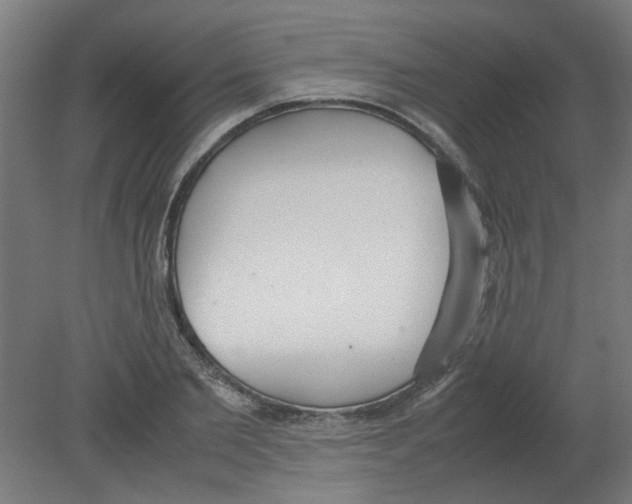 X0000080780885200701122119