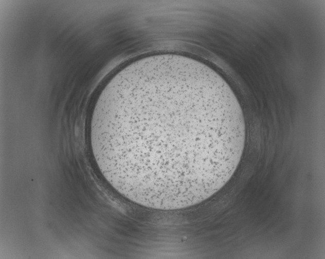 X0000080780886200701122119