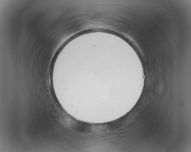 X0000080780887200701122119