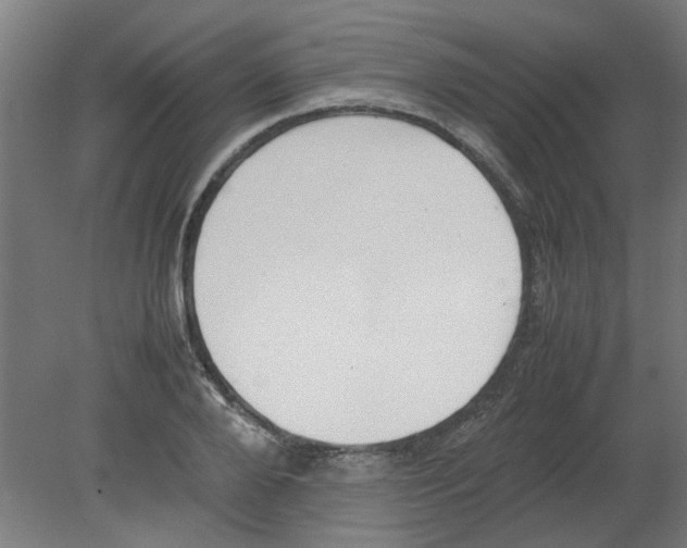 X0000080780888200701122119