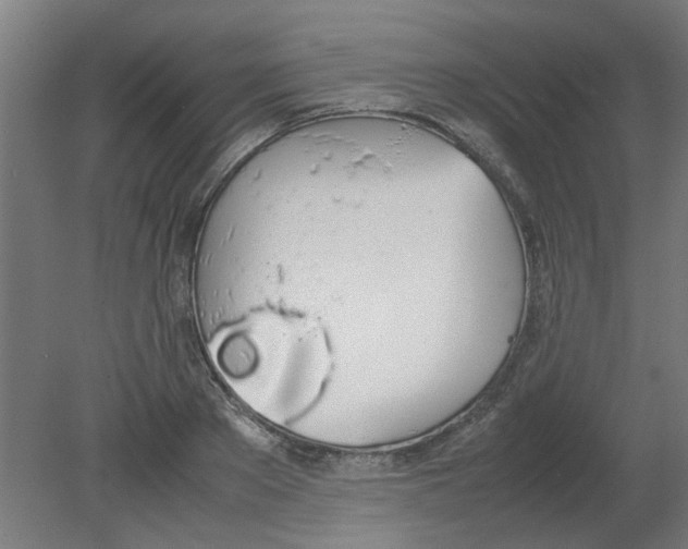 X0000080780889200701122119