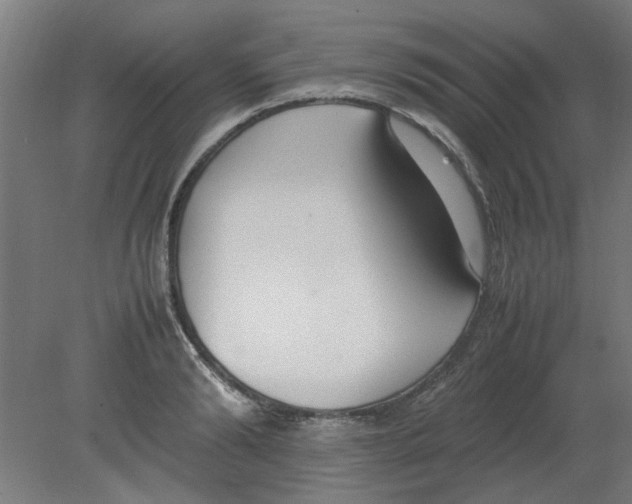 X0000080780894200701122118