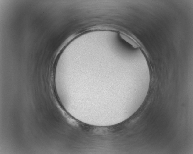 X0000080780909200701122118