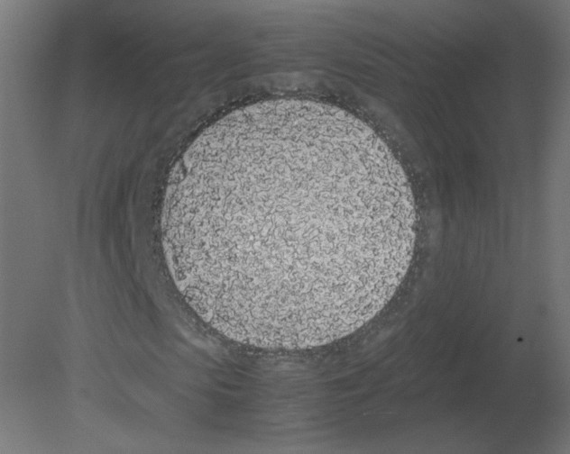 X0000080780913200701122117