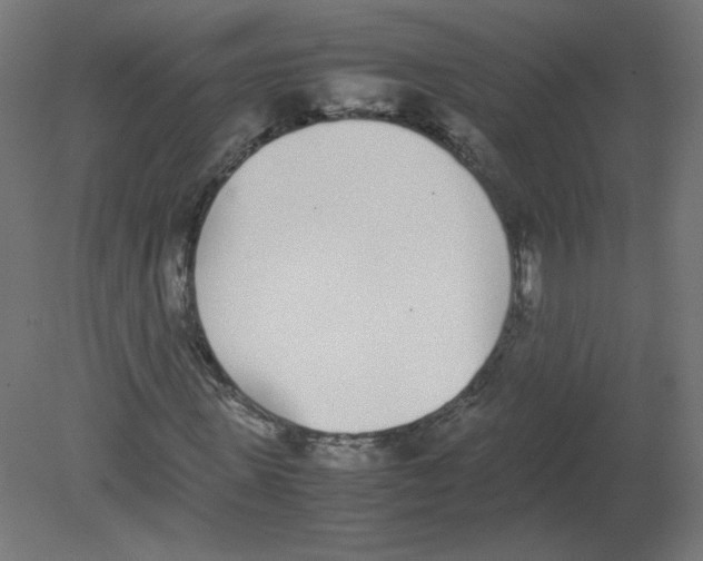 X0000080780915200701122117