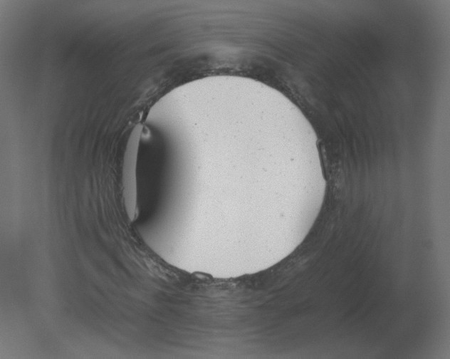 X0000080780916200701122117