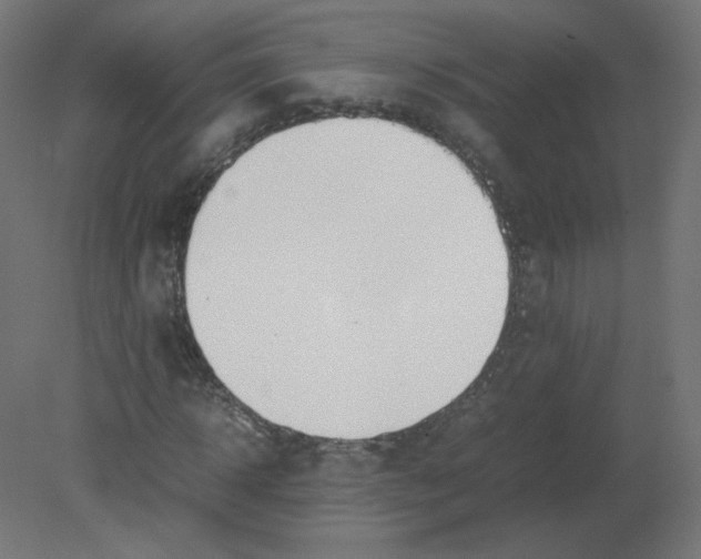 X0000080780918200701122117