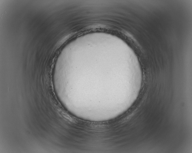 X0000080780921200701122117