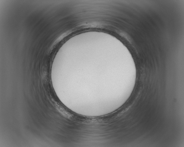 X0000080780922200701122117