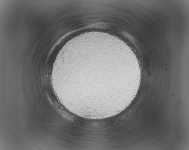 X0000080780923200701122117