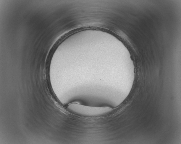 X0000080780924200701122118