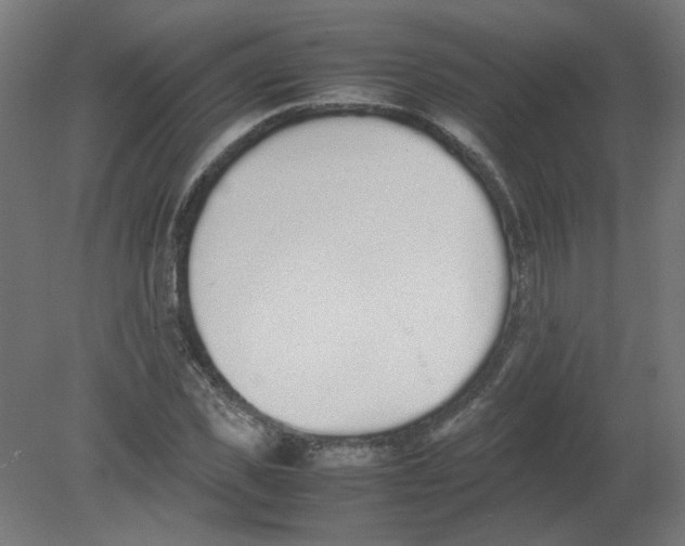 X0000080780925200701122118