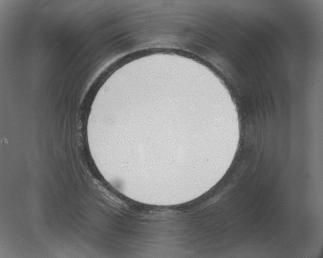 X0000080780926200701122118