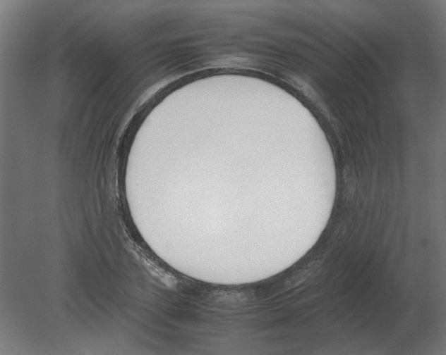 X0000080780931200701122118