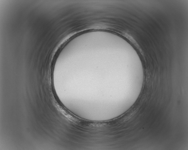 X0000080780939200701122118