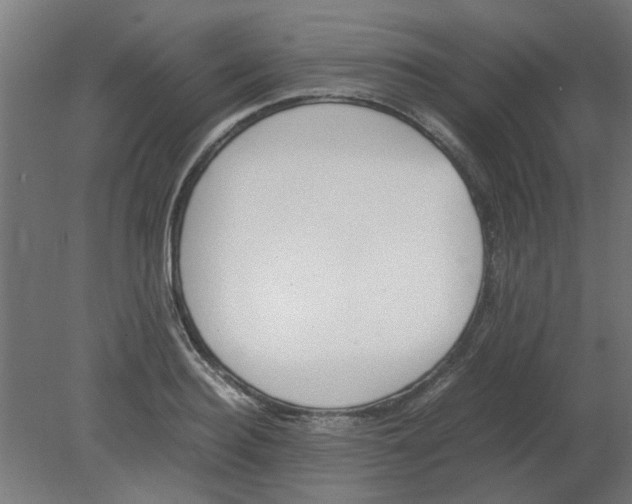 X0000080780940200701122118