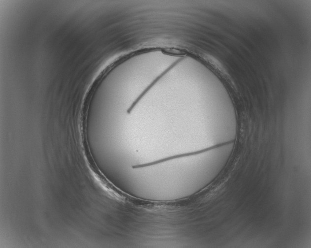X0000080780942200701122118