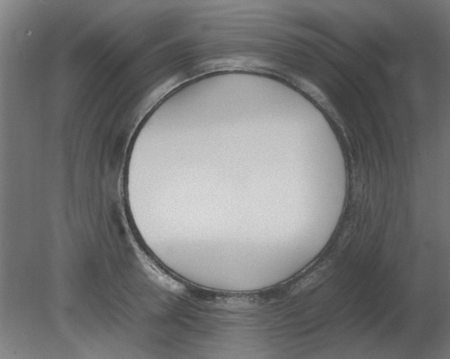 X0000080780946200701122118
