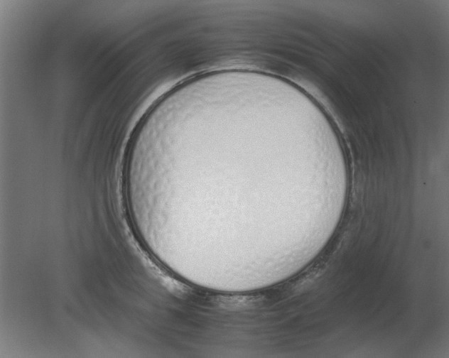 X0000080780949200701122118